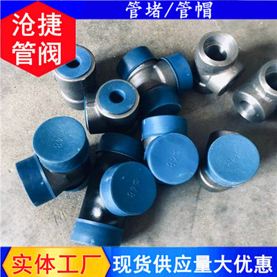 塑料管蓋信譽(yù)為重-河北滄捷(在線咨詢)-西寧塑料管蓋