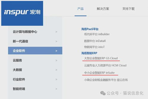 簡單談?wù)別rp軟件的替代